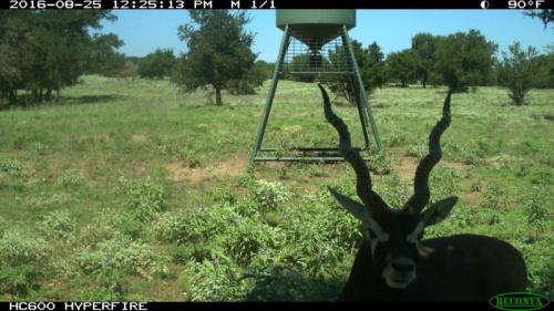 IMG_0116-251-800-600-80