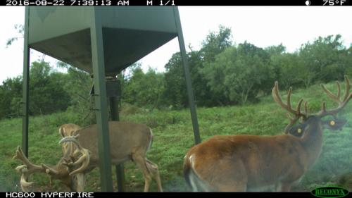 IMG_0432-260-800-600-80